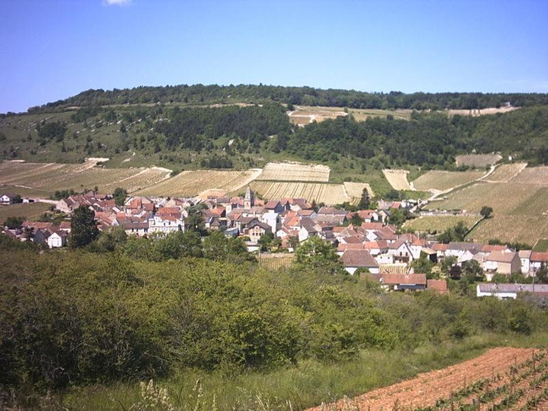 Le Du Parc * Beaune (Cote d'Or)